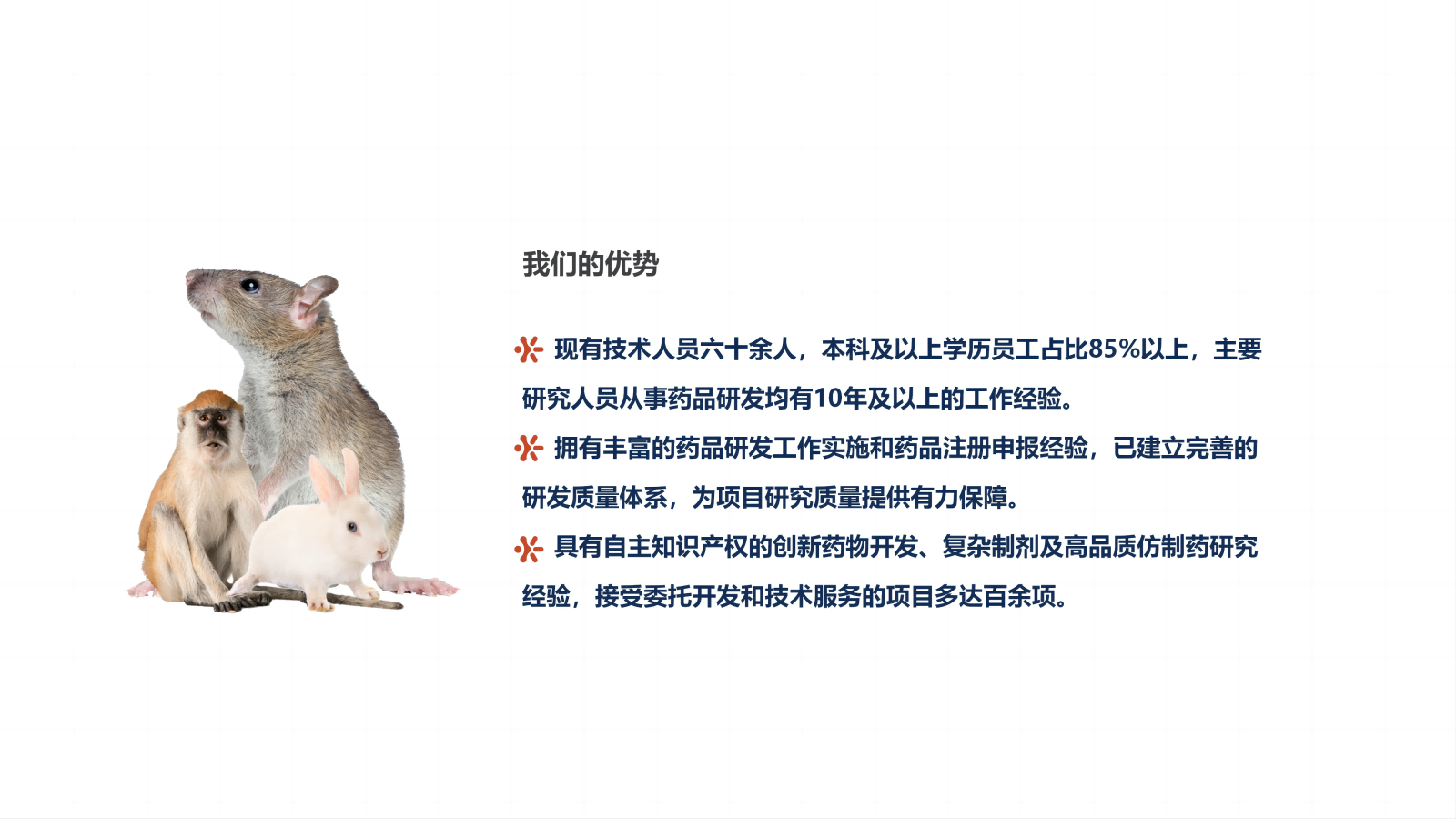 MrCat猫先生电竞(中国)官方网站