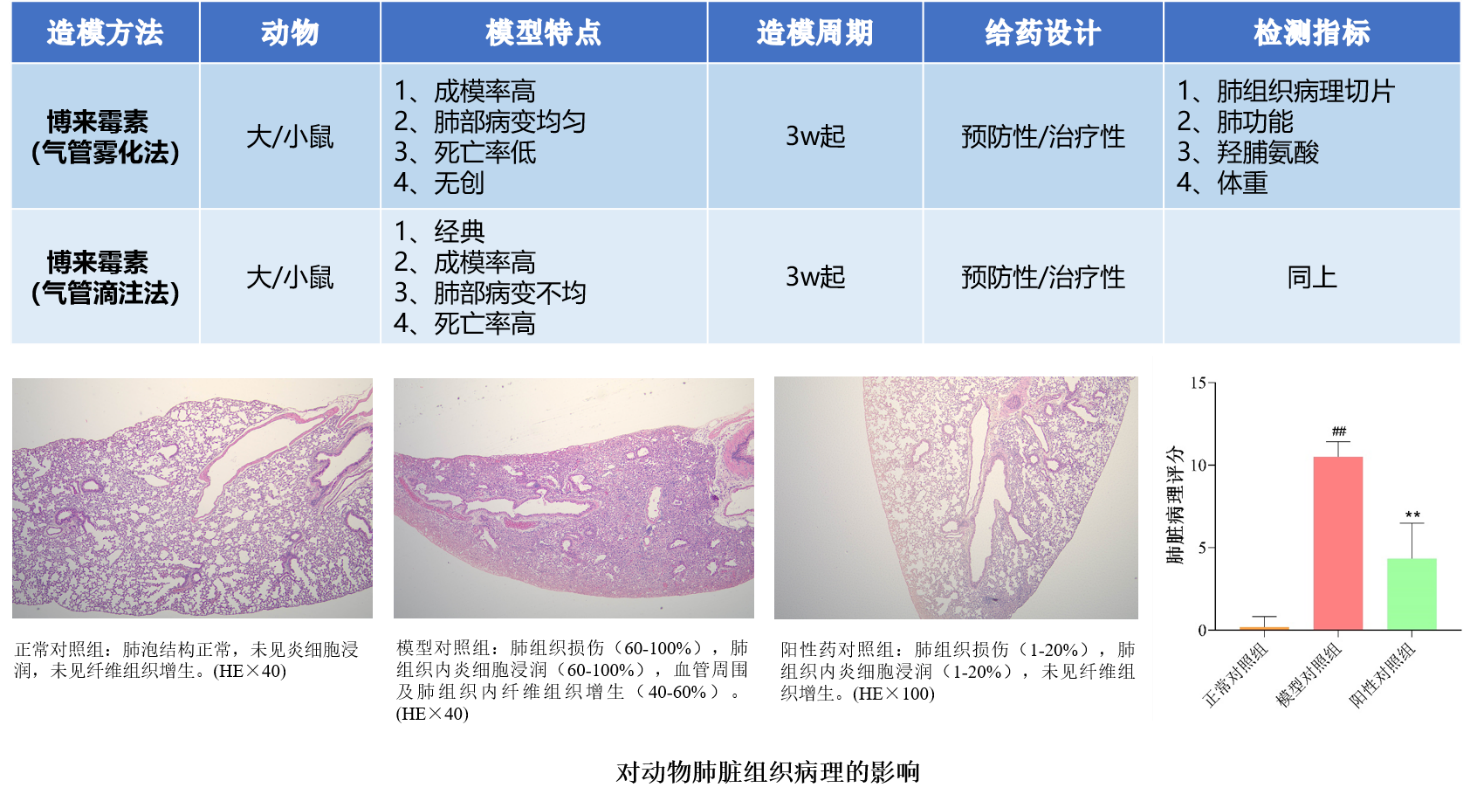 MrCat猫先生电竞(中国)官方网站