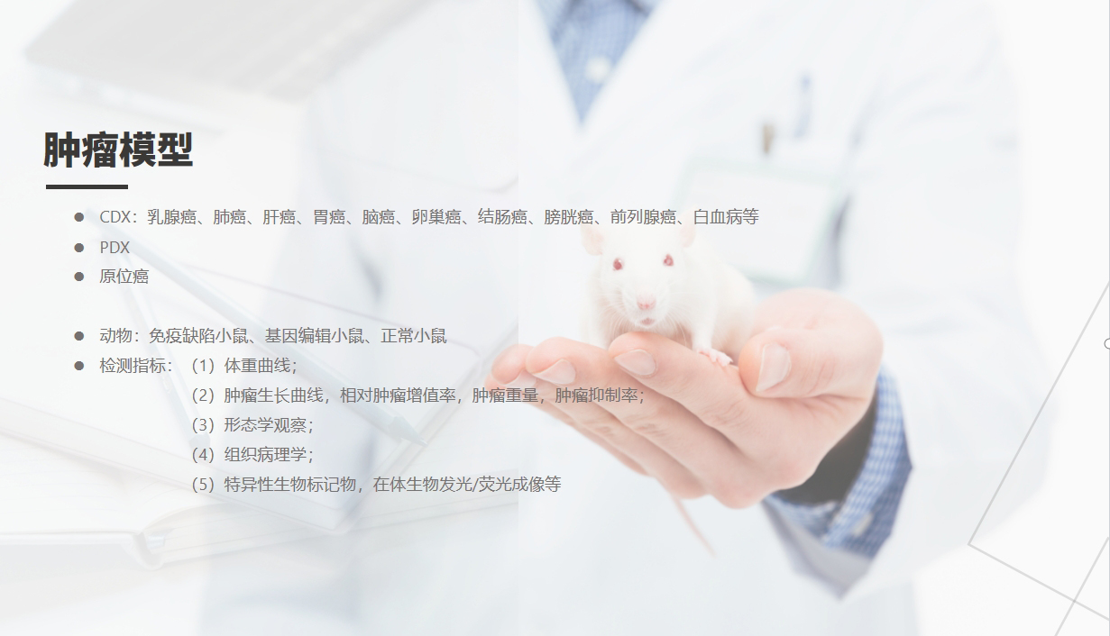 MrCat猫先生电竞(中国)官方网站