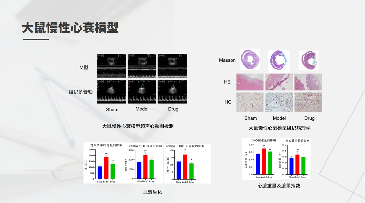 MrCat猫先生电竞(中国)官方网站