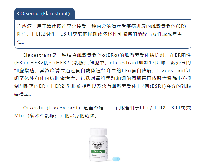 MrCat猫先生电竞(中国)官方网站